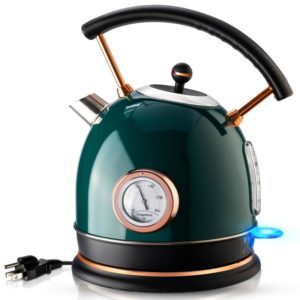 electric kettle (2)