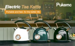 electric kettle (2)
